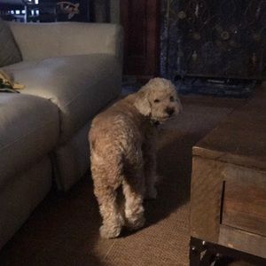 Meet your Posher, Sandra